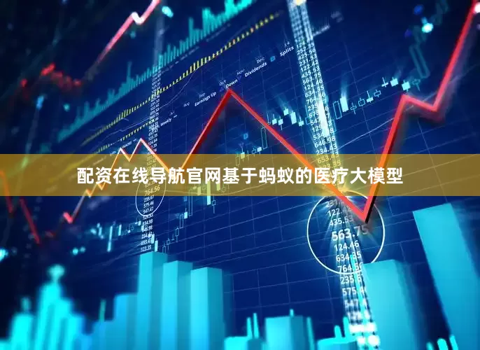 配资在线导航官网基于蚂蚁的医疗大模型