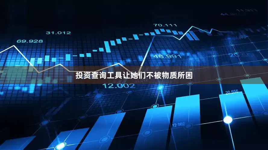 投资查询工具让她们不被物质所困