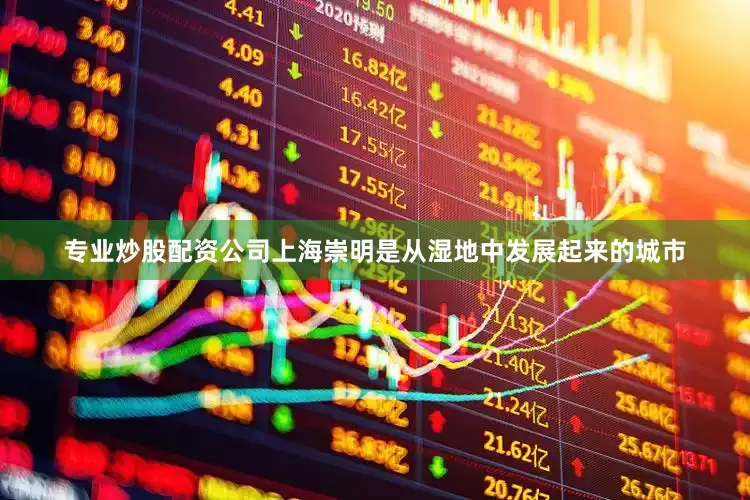 专业炒股配资公司上海崇明是从湿地中发展起来的城市