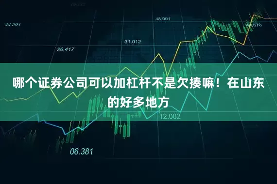 哪个证券公司可以加杠杆不是欠揍嘛！在山东的好多地方
