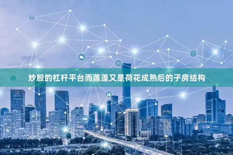 炒股的杠杆平台而莲蓬又是荷花成熟后的子房结构